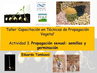 Taller ‘Capacitación en Técnicas de Propagación
Vegetal’
Actividad 3. Propagación sexual: semillas y
germinación
Eduardo Tambussi
 