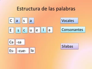 Estructura de las palabras 
C 
-cue- 
s 
a 
E 
s 
c 
u 
e 
l 
a 
Vocales 
Consonantes 
Ca 
-sa 
Es- 
a 
la 
Sílabas  