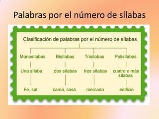 Palabras por el número de sílabas  