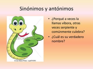 Sinónimos y antónimos 
•¿Porqué a veces la llamas víbora, otras veces serpiente y comúnmente culebra? 
•¿Cuál es su verdadero nombre?  