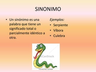 SINONIMO 
•Un sinónimo es una palabra que tiene un significado total o parcialmente idéntico a otra. 
Ejemplos: 
•Serpiente 
•Víbora 
•Culebra  