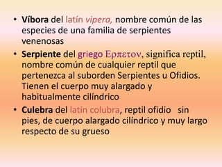 •Víbora del latín vipera, nombre común de las especies de una familia de serpientes venenosas 
•Serpiente del griego Erpeton, significa reptil, nombre común de cualquier reptil que pertenezca al suborden Serpientes u Ofidios. Tienen el cuerpo muy alargado y habitualmente cilíndrico 
•Culebra del latín colubra, reptil ofidio sin pies, de cuerpo alargado cilíndrico y muy largo respecto de su grueso 
 