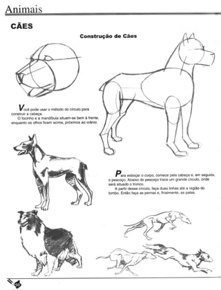Curso prático de desenho 01