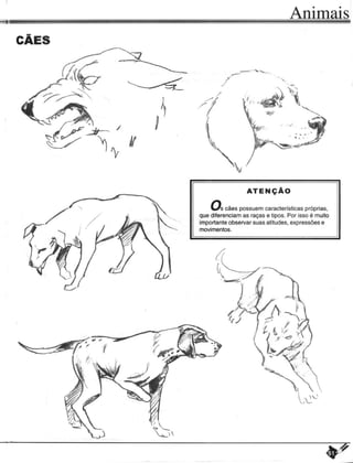 Curso prático de desenho 01