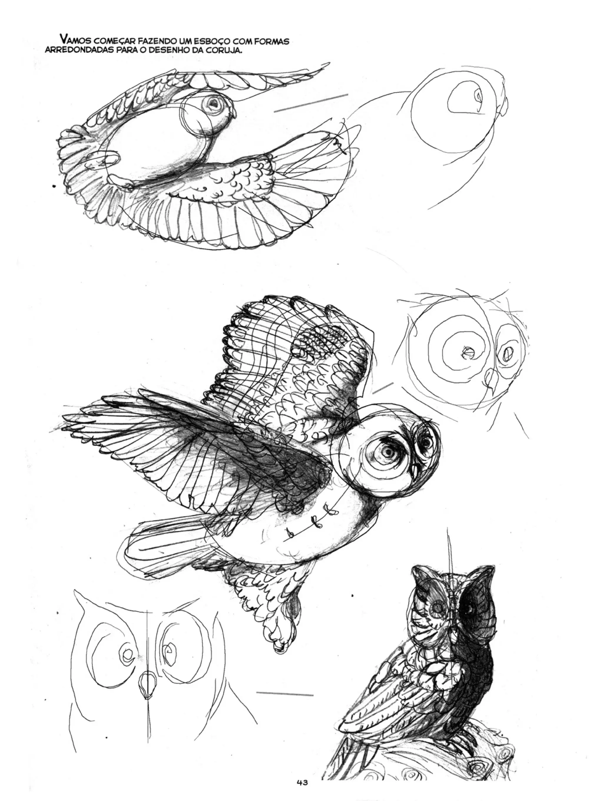 Curso prático de desenho 06