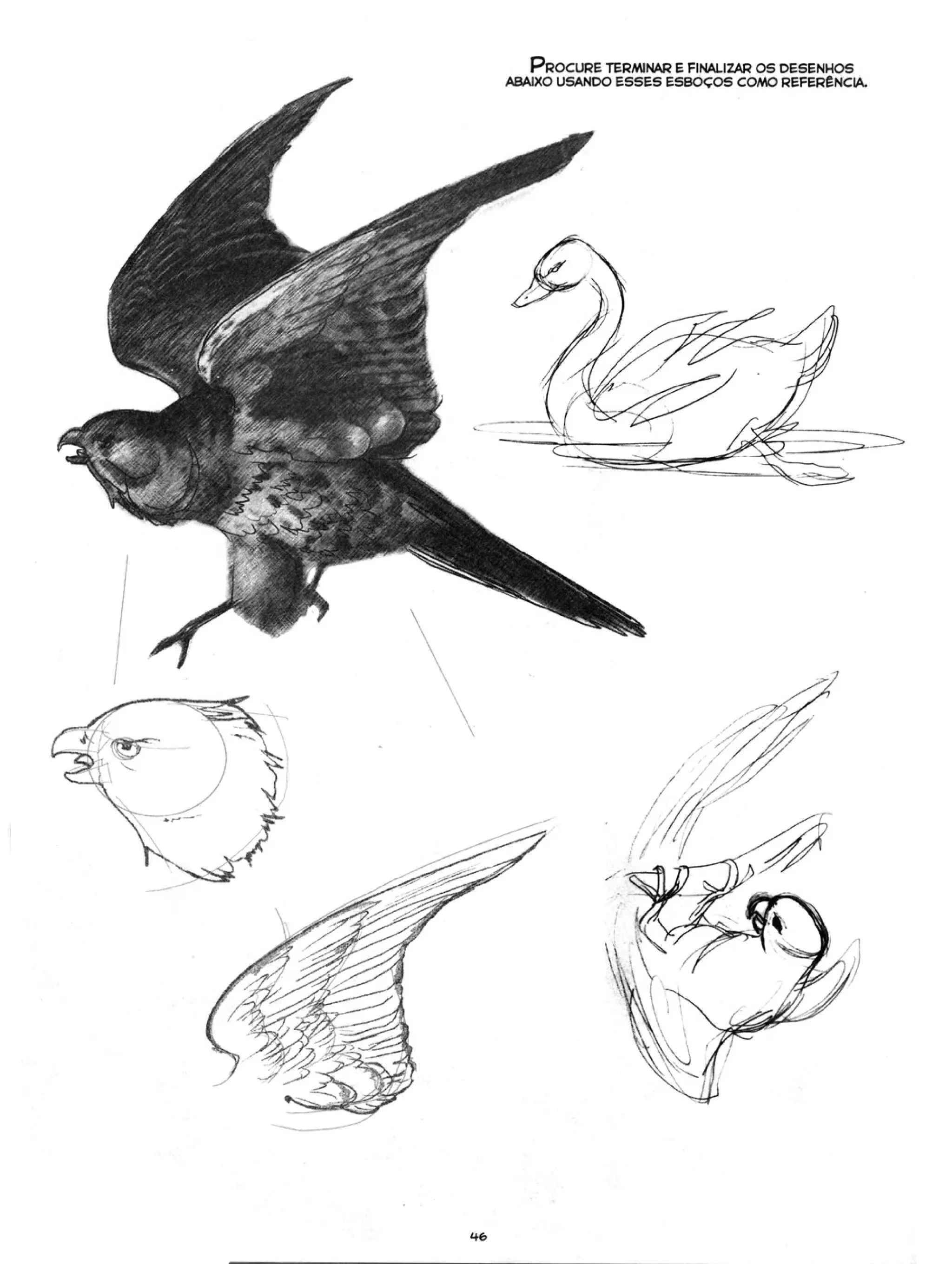 Curso prático de desenho 06