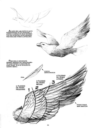 Curso prático de desenho 06