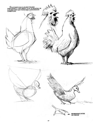 Curso prático de desenho 06