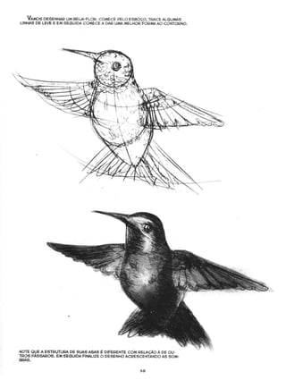 Curso prático de desenho 06