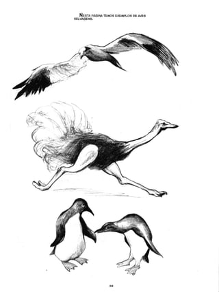 Curso prático de desenho 06