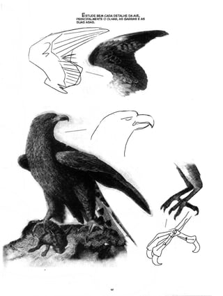 Curso prático de desenho 06