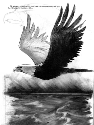 Curso prático de desenho 06