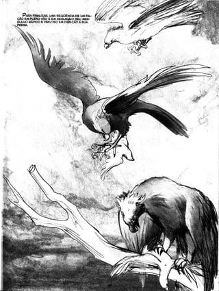 Curso prático de desenho 06