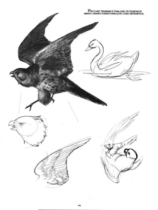 Curso prático de desenho 06