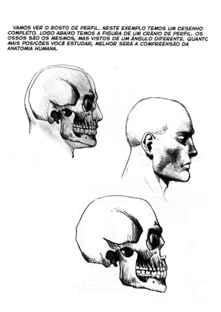 Curso prático de desenho 10