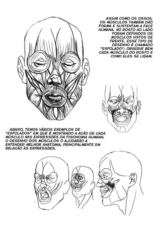 Curso prático de desenho 10