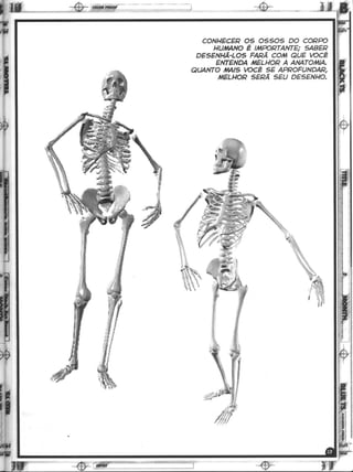 Curso prático de desenho 12