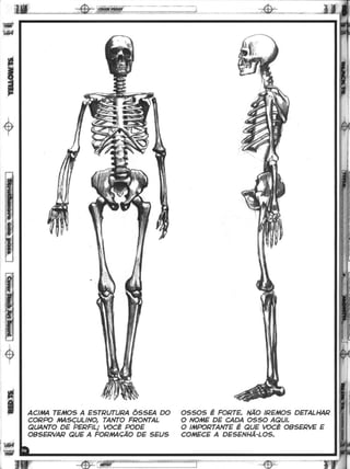 Curso prático de desenho 12