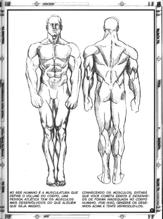 Curso prático de desenho 12