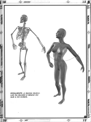 Curso prático de desenho 12