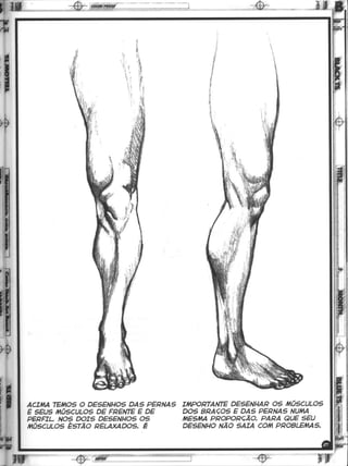 Curso prático de desenho 12