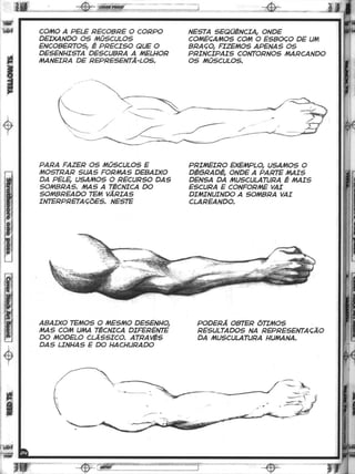 Curso prático de desenho 12