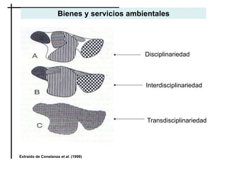 Disciplinariedad
Interdisciplinariedad
Transdisciplinariedad
Extraído de Constanza et al. (1999)
Bienes y servicios ambientales
 