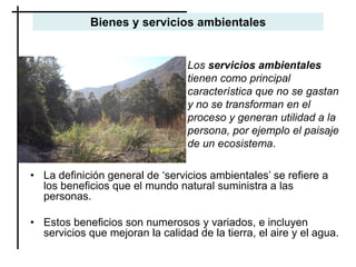 Bienes y servicios ambientales
Los servicios ambientales
tienen como principal
característica que no se gastan
y no se transforman en el
proceso y generan utilidad a la
persona, por ejemplo el paisaje
de un ecosistema.
• La definición general de ‘servicios ambientales’ se refiere a
los beneficios que el mundo natural suministra a las
personas.
• Estos beneficios son numerosos y variados, e incluyen
servicios que mejoran la calidad de la tierra, el aire y el agua.
 