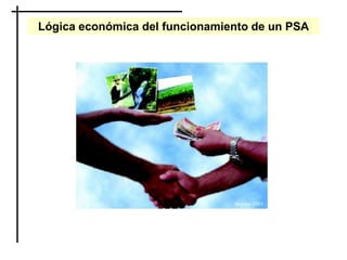 Lógica económica del funcionamiento de un PSA
 