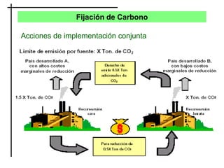 Fijación de Carbono
Acciones de implementación conjunta
 