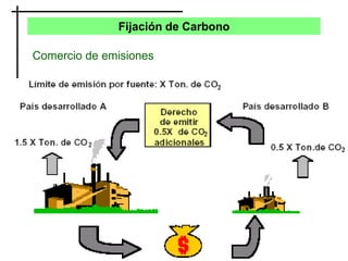 Fijación de Carbono
Comercio de emisiones
 