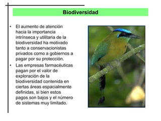 Biodiversidad
• El aumento de atención
hacia la importancia
intrínseca y utilitaria de la
biodiversidad ha motivado
tanto a conservacionistas
privados como a gobiernos a
pagar por su protección.
• Las empresas farmacéuticas
pagan por el valor de
exploración de la
biodiversidad contenida en
ciertas áreas espacialmente
definidas, si bien estos
pagos son bajos y el número
de sistemas muy limitado.
 