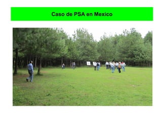 Caso de PSA en Mexico
 