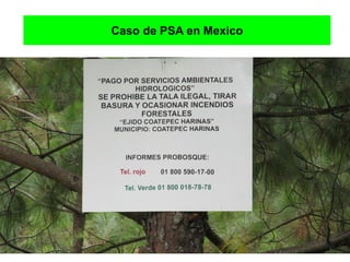 Caso de PSA en Mexico
 