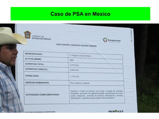 Caso de PSA en Mexico
 