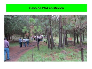 Caso de PSA en Mexico
 