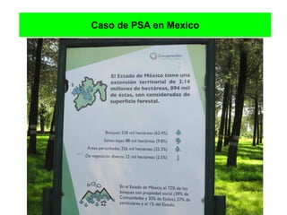 Caso de PSA en Mexico
 