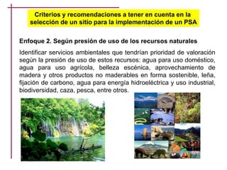 Criterios y recomendaciones a tener en cuenta en la
selección de un sitio para la implementación de un PSA
Enfoque 2. Según presión de uso de los recursos naturales
Identificar servicios ambientales que tendrían prioridad de valoración
según la presión de uso de estos recursos: agua para uso doméstico,
agua para uso agrícola, belleza escénica, aprovechamiento de
madera y otros productos no maderables en forma sostenible, leña,
fijación de carbono, agua para energía hidroeléctrica y uso industrial,
biodiversidad, caza, pesca, entre otros.
 