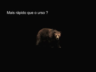 Mais rápido que o urso ? 