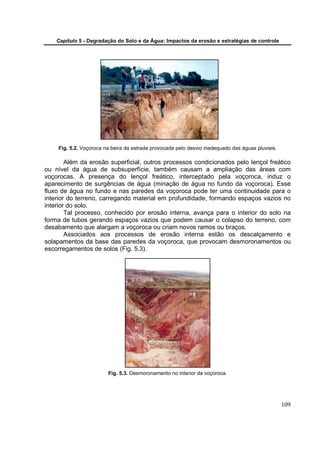 Capítulo 5 - Degradação do Solo e da Água: Impactos da erosão e estratégias de controle




    Fig. 5.2. Voçoroca na beira da estrada provocada pelo desvio inadequado das águas pluviais.

        Além da erosão superficial, outros processos condicionados pelo lençol freático
ou nível da água de subsuperfície, também causam a ampliação das áreas com
voçorocas. A presença do lençol freático, interceptado pela voçoroca, induz o
aparecimento de surgências de água (minação de água no fundo da voçoroca). Esse
fluxo de água no fundo e nas paredes da voçoroca pode ter uma continuidade para o
interior do terreno, carregando material em profundidade, formando espaços vazios no
interior do solo.
        Tal processo, conhecido por erosão interna, avança para o interior do solo na
forma de tubos gerando espaços vazios que podem causar o colapso do terreno, com
desabamento que alargam a voçoroca ou criam novos ramos ou braços.
        Associados aos processos de erosão interna estão os descalçamento e
solapamentos da base das paredes da voçoroca, que provocam desmoronamentos ou
escorregamentos de solos (Fig. 5.3).




                        Fig. 5.3. Desmoronamento no interior da voçoroca.




                                                                                                  109
 