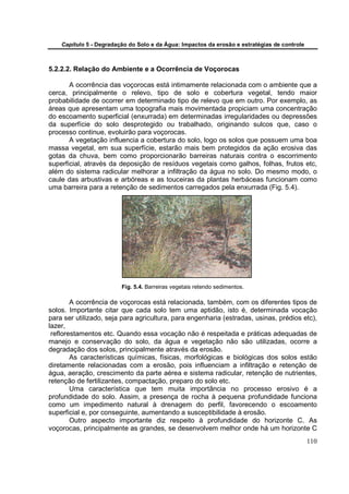 Capítulo 5 - Degradação do Solo e da Água: Impactos da erosão e estratégias de controle



5.2.2.2. Relação do Ambiente e a Ocorrência de Voçorocas

       A ocorrência das voçorocas está intimamente relacionada com o ambiente que a
cerca, principalmente o relevo, tipo de solo e cobertura vegetal, tendo maior
probabilidade de ocorrer em determinado tipo de relevo que em outro. Por exemplo, as
áreas que apresentam uma topografia mais movimentada propiciam uma concentração
do escoamento superficial (enxurrada) em determinadas irregularidades ou depressões
da superfície do solo desprotegido ou trabalhado, originando sulcos que, caso o
processo continue, evoluirão para voçorocas.
       A vegetação influencia a cobertura do solo, logo os solos que possuem uma boa
massa vegetal, em sua superfície, estarão mais bem protegidos da ação erosiva das
gotas da chuva, bem como proporcionarão barreiras naturais contra o escorrimento
superficial, através da deposição de resíduos vegetais como galhos, folhas, frutos etc,
além do sistema radicular melhorar a infiltração da água no solo. Do mesmo modo, o
caule das arbustivas e arbóreas e as touceiras da plantas herbáceas funcionam como
uma barreira para a retenção de sedimentos carregados pela enxurrada (Fig. 5.4).




                         Fig. 5.4. Barreiras vegetais retendo sedimentos.

        A ocorrência de voçorocas está relacionada, também, com os diferentes tipos de
solos. Importante citar que cada solo tem uma aptidão, isto é, determinada vocação
para ser utilizado, seja para agricultura, para engenharia (estradas, usinas, prédios etc),
lazer,
 reflorestamentos etc. Quando essa vocação não é respeitada e práticas adequadas de
manejo e conservação do solo, da água e vegetação não são utilizadas, ocorre a
degradação dos solos, principalmente através da erosão.
        As características químicas, físicas, morfológicas e biológicas dos solos estão
diretamente relacionadas com a erosão, pois influenciam a infiltração e retenção de
água, aeração, crescimento da parte aérea e sistema radicular, retenção de nutrientes,
retenção de fertilizantes, compactação, preparo do solo etc.
        Uma característica que tem muita importância no processo erosivo é a
profundidade do solo. Assim, a presença de rocha à pequena profundidade funciona
como um impedimento natural à drenagem do perfil, favorecendo o escoamento
superficial e, por conseguinte, aumentando a susceptibilidade à erosão.
        Outro aspecto importante diz respeito à profundidade do horizonte C. As
voçorocas, principalmente as grandes, se desenvolvem melhor onde há um horizonte C
                                                                                              110
 