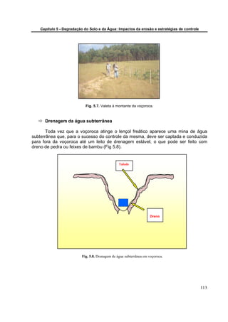 Capítulo 5 - Degradação do Solo e da Água: Impactos da erosão e estratégias de controle




                           Fig. 5.7. Valeta à montante da voçoroca.



      Drenagem da água subterrânea

       Toda vez que a voçoroca atinge o lençol freático aparece uma mina de água
subterrânea que, para o sucesso do controle da mesma, deve ser captada e conduzida
para fora da voçoroca até um leito de drenagem estável, o que pode ser feito com
dreno de pedra ou feixes de bambu (Fig 5.8).


                                                Talude




                                                                   Dreno




                         Fig. 5.8. Drenagem de água subterrânea em voçoroca.




                                                                                             113
 