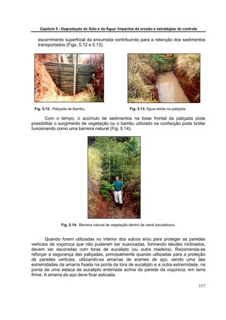 Capítulo 5 - Degradação do Solo e da Água: Impactos da erosão e estratégias de controle


   escorrimento superficial da enxurrada contribuindo para a retenção dos sedimentos
   transportados (Figs. 5.12 e 5.13).




 Fig. 5.12. Paliçada de Bambu.                          Fig. 5.13. Água retida na paliçada.

       Com o tempo, o acúmulo de sedimentos na base frontal da paliçada pode
possibilitar o surgimento de vegetação ou o bambu utilizado na confecção pode brotar
funcionando como uma barreira natural (Fig. 5.14).




                Fig. 5.14. Barreira natural de vegetação dentro de canal escoadouro.


       Quando forem utilizadas no interior dos sulcos e/ou para proteger as paredes
verticais da voçoroca que não puderam ser suavizadas, formando taludes inclinados,
devem ser escoradas com toras de eucalipto (ou outra madeira). Recomenda-se
reforçar a segurança das paliçadas, principalmente quando utilizadas para a proteção
de paredes verticais, utilizando-se amarras de arames de aço, sendo uma das
extremidades da amarra fixada na ponta da tora de eucalipto e a outra extremidade, na
ponta de uma estaca de eucalipto enterrada acima da parede da voçoroca, em terra
firme. A amarra de aço deve ficar esticada.

                                                                                              117
 