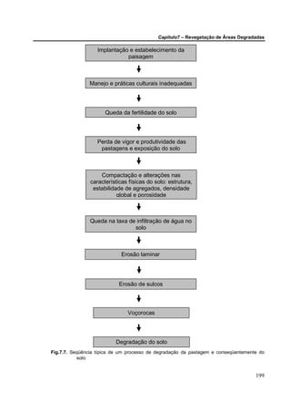Capítulo7 – Revegetação de Áreas Degradadas

                   Implantação e estabelecimento da
                              paisagem



                Manejo e práticas culturais inadequadas




                      Queda da fertilidade do solo




                   Perda de vigor e produtividade das
                    pastagens e exposição do solo



                    Compactação e alterações nas
                características físicas do solo: estrutura,
                 estabilidade de agregados, densidade
                           global e porosidade



                Queda na taxa de infiltração de água no
                                solo



                             Erosão laminar




                            Erosão de sulcos




                               Voçorocas




                          Degradação do solo
Fig.7.7. Seqüência típica de um processo de degradação da pastagem e conseqüentemente do
           solo:


                                                                                    199
 