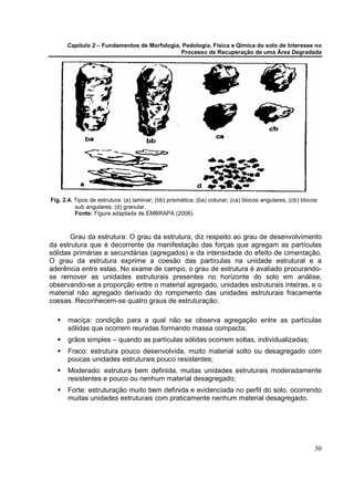 Capítulo 2 – Fundamentos de Morfologia, Pedologia, Física e Qímica do solo de Interesse no
                                             Processo de Recuperação de uma Área Degradada




Fig. 2.4. Tipos de estrutura: (a) laminar; (bb) prismática; (ba) colunar; (ca) blocos angulares, (cb) blocos
          sub angulares; (d) granular.
          Fonte: Figura adaptada de EMBRAPA (2006).



       Grau da estrutura: O grau da estrutura, diz respeito ao grau de desenvolvimento
da estrutura que é decorrente da manifestação das forças que agregam as partículas
sólidas primárias e secundárias (agregados) e da intensidade do efeito de cimentação.
O grau da estrutura exprime a coesão das partículas na unidade estrutural e a
aderência entre estas. No exame de campo, o grau de estrutura é avaliado procurando-
se remover as unidades estruturais presentes no horizonte do solo em análise,
observando-se a proporção entre o material agregado, unidades estruturais inteiras, e o
material não agregado derivado do rompimento das unidades estruturais fracamente
coesas. Reconhecem-se quatro graus de estruturação:

       maciça: condição para a qual não se observa agregação entre as partículas
       sólidas que ocorrem reunidas formando massa compacta;
       grãos simples – quando as partículas sólidas ocorrem soltas, individualizadas;
       Fraco: estrutura pouco desenvolvida, muito material solto ou desagregado com
       poucas unidades estruturais pouco resistentes;
       Moderado: estrutura bem definida, muitas unidades estruturais moderadamente
       resistentes e pouco ou nenhum material desagregado;
       Forte: estruturação muito bem definida e evidenciada no perfil do solo, ocorrendo
       muitas unidades estruturais com praticamente nenhum material desagregado.




                                                                                                           30
 