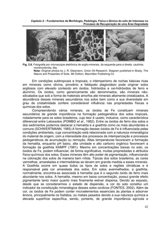 Capítulo 2 – Fundamentos de Morfologia, Pedologia, Física e Qímica do solo de Interesse no
                                             Processo de Recuperação de uma Área Degradada




Fig. 2.6. Fotografia por microscopia eletrônica de argilo-minerais, da esquerda para a direita: caulinita;
          montmorilonita; ilita.
          Nota: Original photos by J. R. Glasmann, Union Oil Research. Diagram published in Brady, The
          Nature and Properties of Soils, 9th Edition, Macmillan Publishing Co

        Em condições subtropicais e tropicais, o intemperismo de rochas básicas ricas
em minerais como olivina, piroxênio e feldspato plagioclásio pode originar solos
argilosos com elevado conteúdo em óxidos, hidróxidos e oxi-hidróxidos de ferro e
alumínio. Os óxidos, como genericamente são denominados, são minerais não-
silicatados que sob a forma de materiais amorfos até minerais altamente cristalizados. A
abundância desses minerais secundários nos solos bem como a sua diversidade em
grau de cristalinidade confere considerável influência nas propriedades físicas e
químicas dos solos.
        Compreendendo vários minerais, os óxidos de Fe constituem minerais
secundários de grande importância na formação pedogenética dos solos tropicais,
notadamente para os solos brasileiros, cujo teor é usado, inclusive, como característica
diferencial entre Latossolos (POMBO et al., 1982). Entre os óxidos de ferro dos solos e
dos sedimentos podemos destacar a hematita e a goethita como os mais abundantes e
comuns (SCHWERTMANN, 1985) A formação desses óxidos de Fe é influenciada pelas
condições ambientais, cuja concentração está relacionada com a natureza mineralógica
do material de origem, com a intensidade dos processos de intemperização e processos
pedogenéticos de acumulação ou remoção. Altas temperaturas favorecem a formação
da hematita, enquanto pH baixo, alta umidade e alto carbono orgânico favorecem a
formação da goethita KAMPF (1981). Mesmo em concentrações baixas no solo, os
óxidos de Fe, podem influenciar, de forma significativa, muitas propriedades e atributos
físico-químicos dos solos. Esses minerais têm alto poder de pigmentação, influenciando
na coloração dos solos de maneira bem nítida. Típicas dos solos brasileiros, as cores
vermelhas, amareladas e intermediárias se devem em grande medida a esses minerais.
A Goethita ocorre em quase todos os tipos de solos e regiões climáticas e é
responsável pela cor amarelada dos solos. Em solos avermelhados, a goethita,
normalmente, encontra-se associada à hematita que é o segundo óxido de ferro mais
abundante nos solos. A hematita, mesmo em baixa concentração, possui grande efeito
pigmentante tanto maior quanto mais finamente estiver dispersa. Devido ao exposto,
desde que se considerarmos o estado de dispersão, a cor do solo constitui um
indicador da constituição mineralógica desses solos oxídicos (FONTES, 2002). Além da
cor, os óxidos de Fe podem conter microelementos essenciais às plantas e adsorver
ânions, principalmente os fosfatos, ou metais pesados devido a sua natureza química e
elevada superfície específica, sendo, portanto, de grande importância agrícola e

                                                                                                       42
 