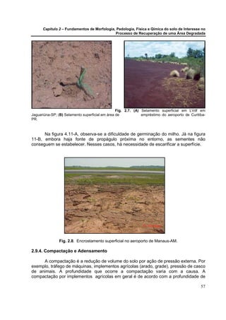 Capítulo 2 – Fundamentos de Morfologia, Pedologia, Física e Qímica do solo de Interesse no
                                             Processo de Recuperação de uma Área Degradada




                                                 Fig. 2.7. (A) Selamento superficial em LVdf em
Jaguariúna-SP; (B) Selamento superficial em área de            empréstimo do aeroporto de Curitiba-
PR.



      Na figura 4.11-A, observa-se a dificuldade de germinação do milho. Já na figura
11-B, embora haja fonte de propágulo próxima no entorno, as sementes não
conseguem se estabelecer. Nesses casos, há necessidade de escarificar a superfície.




               Fig. 2.8. Encrostamento superficial no aeroporto de Manaus-AM.

2.9.4. Compactação e Adensamento

     A compactação é a redução de volume do solo por ação de pressão externa. Por
exemplo, tráfego de máquinas, implementos agrícolas (arado, grade), pressão de casco
de animais. A profundidade que ocorre a compactação varia com a causa. A
compactação por implementos agrícolas em geral é de acordo com a profundidade de

                                                                                                57
 