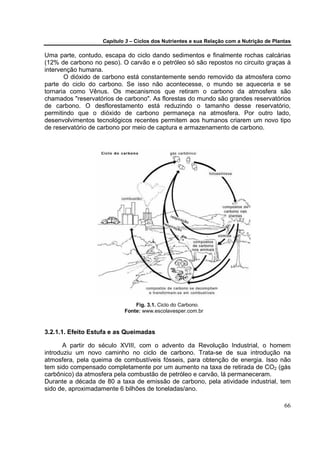Capítulo 3 – Ciclos dos Nutrientes e sua Relação com a Nutrição de Plantas

Uma parte, contudo, escapa do ciclo dando sedimentos e finalmente rochas calcárias
(12% de carbono no peso). O carvão e o petróleo só são repostos no circuito graças à
intervenção humana.
       O dióxido de carbono está constantemente sendo removido da atmosfera como
parte do ciclo do carbono. Se isso não acontecesse, o mundo se aqueceria e se
tornaria como Vênus. Os mecanismos que retiram o carbono da atmosfera são
chamados "reservatórios de carbono". As florestas do mundo são grandes reservatórios
de carbono. O desflorestamento está reduzindo o tamanho desse reservatório,
permitindo que o dióxido de carbono permaneça na atmosfera. Por outro lado,
desenvolvimentos tecnológicos recentes permitem aos humanos criarem um novo tipo
de reservatório de carbono por meio de captura e armazenamento de carbono.




                               Fig. 3.1. Ciclo do Carbono.
                           Fonte: www.escolavesper.com.br



3.2.1.1. Efeito Estufa e as Queimadas

       A partir do século XVIII, com o advento da Revolução Industrial, o homem
introduziu um novo caminho no ciclo de carbono. Trata-se de sua introdução na
atmosfera, pela queima de combustíveis fósseis, para obtenção de energia. Isso não
tem sido compensado completamente por um aumento na taxa de retirada de CO2 (gás
carbônico) da atmosfera pela combustão de petróleo e carvão, lá permaneceram.
Durante a década de 80 a taxa de emissão de carbono, pela atividade industrial, tem
sido de, aproximadamente 6 bilhões de toneladas/ano.

                                                                                          66
 