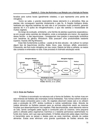 Capítulo 3 – Ciclos dos Nutrientes e sua Relação com a Nutrição de Plantas

levados para outros locais (geralmente cidades), o que representa uma perda de
nitrogênio.
       Como se sabe, o grande reservatório desse elemento é a atmosfera. Mas as
plantas não conseguem assimilar diretamente o gás N2. A fixação biológica direta,
realizada por algumas bactérias do solo não é um processo muito produtivo, gerando
apenas de 4 a 6 quilos de nitrogênio/ha/ano, o que não satisfaz a necessidade de
muitos vegetais.
      Ao longo da evolução, entretanto, uma família de plantas superiores especializou-
se em ocupar solos carentes de nitrogênio, onde a competição era menor. As espécies
dessa família - a das leguminosas - conseguiram isso graças à associação simbiótica
com bactérias do gênero Rhizobium. Elas possuem uma produtividade bastante
superior, fixando 350 Kg N/ha/ano.
      Esse fato fundamenta a prática - usada já há dois séculos - de cultivar no campo
algum tipo de leguminosa (ervilha, feijão, trevo, soja, tremoço, alfafa, amendoim).
Crescendo, ela fixa muito nitrogênio em seu corpo. Depois de feita a colheita, os restos
são cortados e enterrados no solo. Este processo é chamado adubação verde.




                               Fig. 3. 6. Ciclo do Nitrogênio.
                               Fonte: NEVES, et al. (2006).




3.2.3. Ciclo do Fósforo

       O fósforo é encontrado na natureza sob a forma de fosfatos. As rochas ricas em
sais minerais de fosfatos são chamadas rochas fosfatadas. Tais rochas sofrem erosão e
liberam esses compostos para o solo. Os vegetais absorvem esses sais e os utilizam
para a produção de ATP, ácidos nucléicos e outras substâncias vitais. Através da
cadeia alimentar os fosfatos passam para os animais adquirindo assim as mesmas
funções que desempenhavam nos vegetais. Pela decomposição, esse elemento retorna
ao solo, sendo carregado pelas águas e conduzido para os oceanos. Uma pequena
parte é utilizada pelos organismos marinhos e o restante permanece sedimentado no
fundo dos mares, sem que seja aproveitado. O fosfato absorvido pelas algas marinhas
é transmitido para os peixes e destes para as aves marinhas, através da cadeia
alimentar. Essas aves eliminam uma grande quantidade de fosfato através dos

                                                                                           70
 