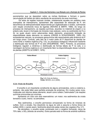Capítulo 3 – Ciclos dos Nutrientes e sua Relação com a Nutrição de Plantas

excrementos que se depositam sobre as rochas litorâneas e formam o guano
(acumulação de fosfato de cálcio resultante de excremento de aves marinhas).
        Os solos de regiões tropicais úmidas, notadamente aqueles em estádios mais
avançados de intemperismo, apresentam alta capacidade de adsorção de P, em
decorrência da eletropositividade desenvolvida por argilossilicatos e óxidos, culminando
com reação envolvendo troca de ligantes (NOVAIS & SMITH, 1999). Ao longo do
processo de intemperismo, as reações químicas, atuantes no material de origem e no
próprio solo, levam à formação de minerais mais estáveis, como os oxidróxidos de Fe e
Al, os quais atuam como adsorventes deste elemento, propiciando limitação da
disponibilidade deste elemento no sistema (CROSS & SCHLESINGER, 1995). Em
ecossistemas naturais, os processos geoquímicos são responsáveis pela dinâmica do P
em longo prazo. Contudo, pelo fato de a maior parte do P disponível às plantas ter
como fonte a matéria orgânica (Fig. 3.5), os processos biológicos influenciam bastante
a distribuição das formas de P no solo (WALBRIDGE, 1991). Portanto, os processos
biológicos regulam a dinâmica e distribuição de formas lábeis de P no solo, e a
reciclagem da forma orgânica é um importante fator na disponibilização desse nutriente
às plantas (ADEPTU & COREY, 1976).




                                 Fig. 3. 5. Ciclo do fósforo.
                                 Fonte: NEVES, et al. (2006).

3.2.4. Ciclo do Enxofre

     O enxofre é um importante constituinte de alguns aminoácidos, como a cisteína e,
portanto, não pode faltar para perfeita produção de proteínas. Em muitos seres vivos,
moléculas com átomos desse elemento, atuam como cofator ("estimulador") de reações
químicas promovidas por enzimas.
      Apresenta um ciclo com dois reservatórios: um maior, nos sedimentos da crosta
terrestre e outro, menor, na atmosfera.

       Nos sedimentos, o enxofre permanece armazenado na forma de minerais de
sulfato. Com a erosão, fica dissolvido na água do solo e assume a forma iônica de
sulfato (SO4--); sendo assim, facilmente absorvido pelas raízes dos vegetais (Fig. 3.7).
      Na atmosfera, o enxofre existe combinado com o oxigênio formando, cerca de
75% dele, o SO2 (dióxido de enxofre). Outra parcela está na forma de anidrido sulfídrico



                                                                                           71
 